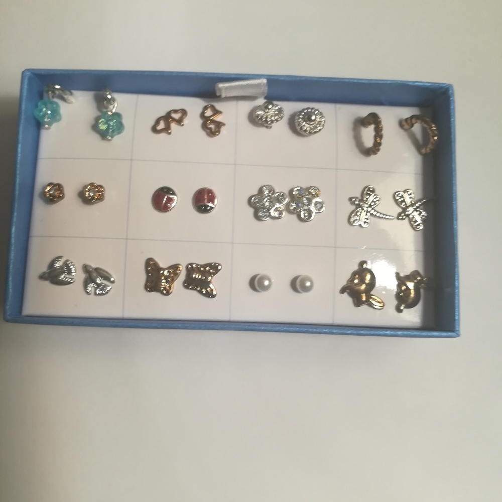 Earrings